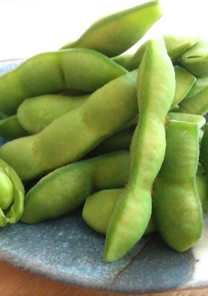 ダイナミックに！朝採り大量枝豆の茹で方-レシピのメイン写真