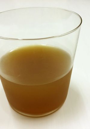 炊飯器で作る無塩・無糖の梅果汁と梅-レシピのメイン写真