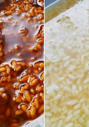 簡単★わが家の手作り塩麹＆醤油麹-レシピのメイン写真