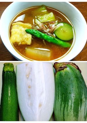 とろ茄子、冬瓜、ズッキーニのお味噌汁-レシピのメイン写真