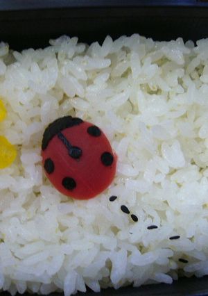 梅のてんとう虫（キャラ弁）-レシピのメイン写真