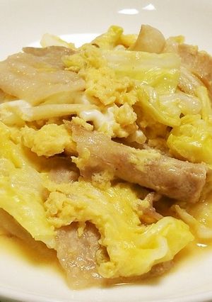 簡単☆豚たまキャベツ-レシピのメイン写真