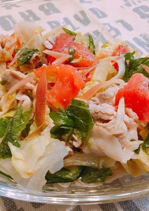 豚肉と香味野菜の味噌だれサラダ☆彡-レシピのメイン写真