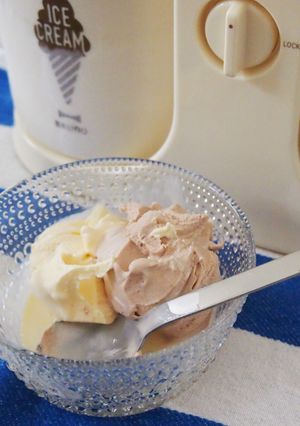 2種（バニラ＆チョコ）のアイスクリーム-レシピのメイン写真