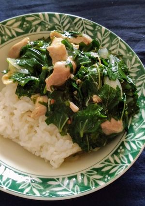 エジプト料理☆モロヘイヤと鶏肉の煮込み-レシピのメイン写真