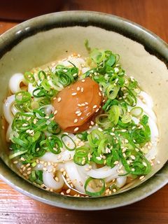 器1つで最強簡単!冷やし梅うどん-レシピのメイン写真