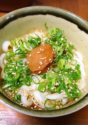 器1つで最強簡単！冷やし梅うどん-レシピのメイン写真
