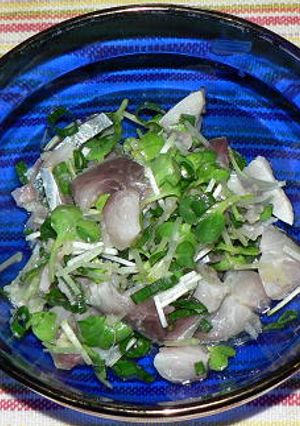 しめ鯖とかいわれ菜の生姜甘酢味-レシピのメイン写真
