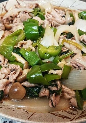 豚肉と余り野菜の梅じそ炒め☆彡.。-レシピのメイン写真
