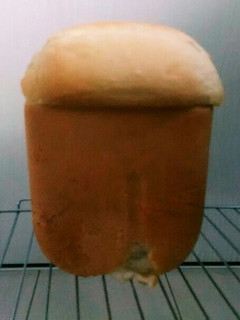 HB♪ふわふわしっとりすぎる食パン-レシピのメイン写真