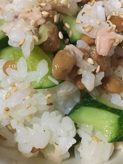 さっぱり美味!納豆とツナキュウリのご飯-レシピのメイン写真