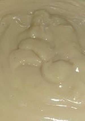 ビーガン＊豆乳生クリーム-レシピのメイン写真