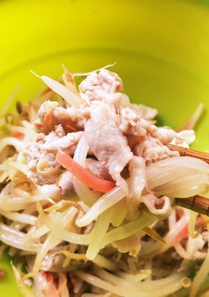 豚もやしの生姜和え-レシピのメイン写真