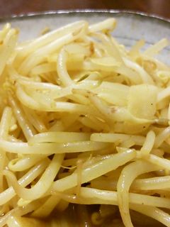 もやし炒め、にんにくカレー味。-レシピのメイン写真