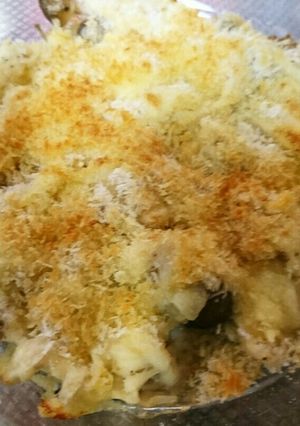 きのこチーズ-レシピのメイン写真