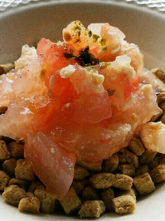 犬ご飯 トマトチキン寒天のせ-レシピのメイン写真