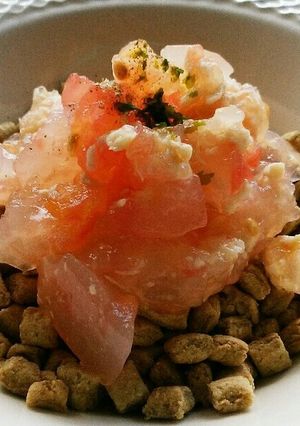 犬ご飯　トマトチキン寒天のせ-レシピのメイン写真