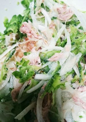 美肌しゃきしゃきゴーヤ-レシピのメイン写真
