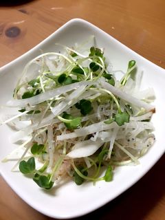 あっさり大根サラダ-レシピのメイン写真