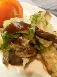 蒸し茄子のおろしポン酢和え-レシピのメイン写真