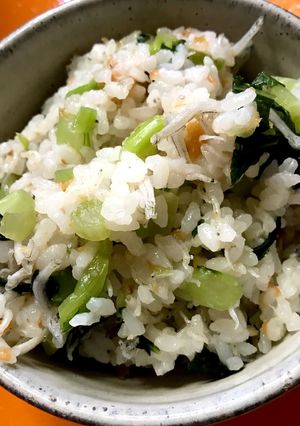 野沢菜・ちりめんじゃこ・梅の混ぜご飯-レシピのメイン写真
