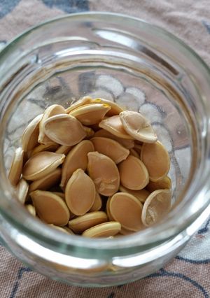 ハムスターのおやつ　かぼちゃのたね-レシピのメイン写真