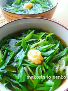 ネギ大量消費*たっぷり山盛りネギうどん-レシピのメイン写真