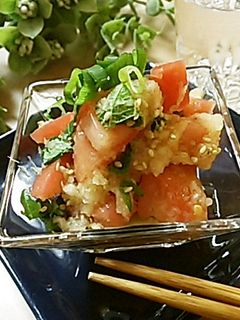 暑い日の簡単レシピ!!トマトのおろし和え-レシピのメイン写真