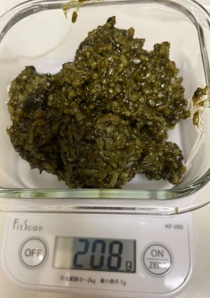 甘さ控えめ抹茶麹♪ヨーグルトメーカー使用-レシピのメイン写真