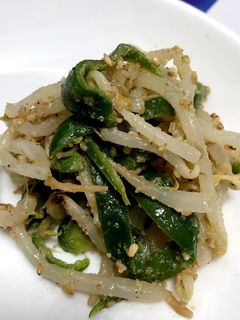 もやしとピーマンの胡麻和え-レシピのメイン写真