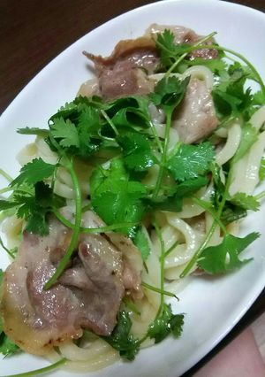 パクチーうどん～レモンナンプラー～-レシピのメイン写真