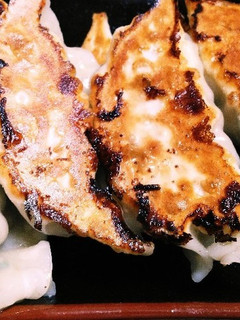 普通の焼き餃子・改改-レシピのメイン写真