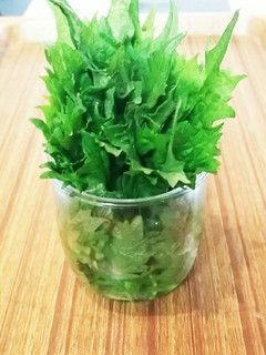 大葉の保存-レシピのメイン写真