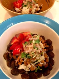 犬ごはん 納豆混ぜご飯-レシピのメイン写真