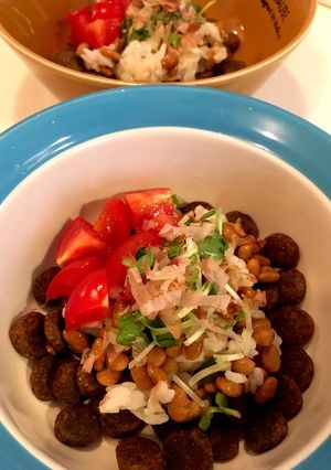 犬ごはん 納豆混ぜご飯-レシピのメイン写真