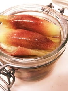 みょうがの甘酢漬け-レシピのメイン写真