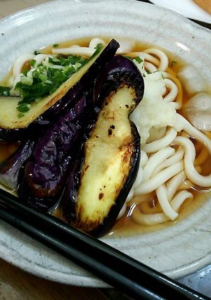 茄子の揚げ浸しの様な冷やしぶっかけうどん-レシピのメイン写真