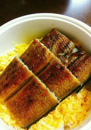 フワフワ出汁巻き味の錦糸卵の鰻丼-レシピのメイン写真
