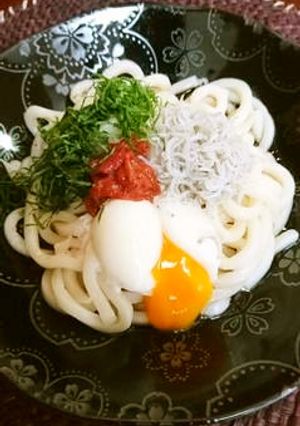 梅と卵でさっぱりぶっかけうどん-レシピのメイン写真