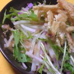 รูปของ 大根と水菜のサクシャキサラダ