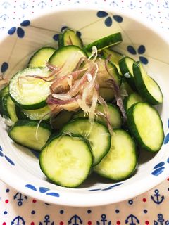 すぐできる!みょうがと胡瓜の浅漬け-レシピのメイン写真