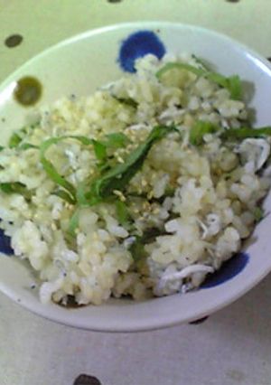 しらす混ぜご飯☆-レシピのメイン写真