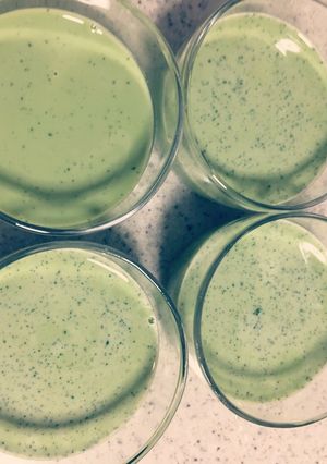 【伊豆スイーツ】抹茶クリームブリュレ-レシピのメイン写真
