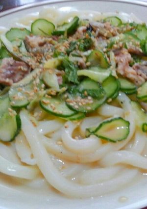 超☆簡単❤冷や汁風ぶっかけサラダうどん-レシピのメイン写真