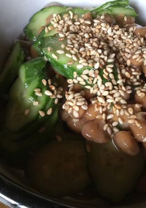 納豆蕎麦 冷や汁風-レシピのメイン写真