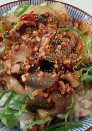 ナスミート丼（血管ダイエット1138）-レシピのメイン写真