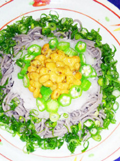 おろし納豆そば ネギまみれ-レシピのメイン写真