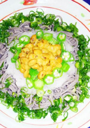 おろし納豆そば ネギまみれ-レシピのメイン写真