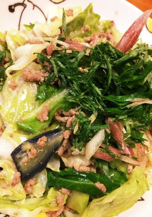 ミョウガとシソ香る♪簡単餃子丼！！-レシピのメイン写真