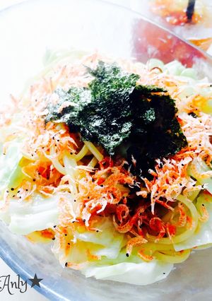 えび彩★アンチョビtoキャベツのパスタ-レシピのメイン写真
